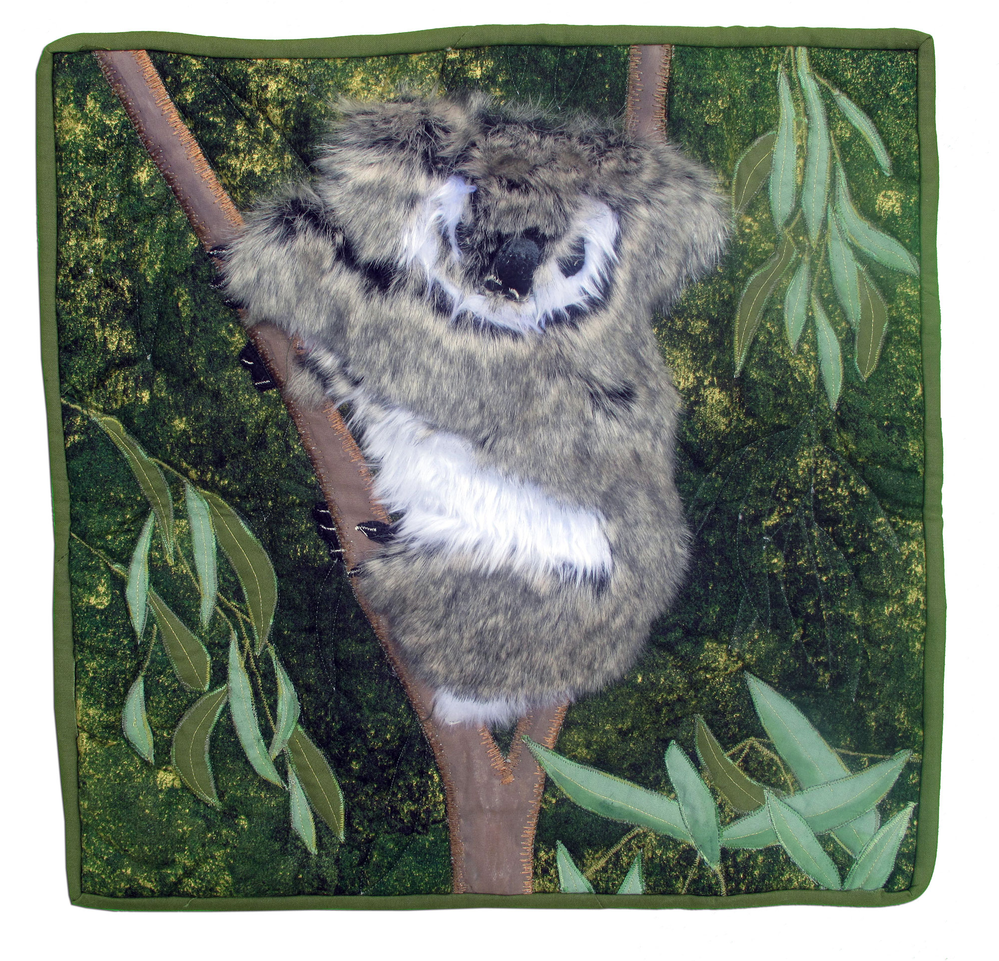 Cuddly Koala, Desley M. Drevins, Albany Creek, Queensland, Australia
